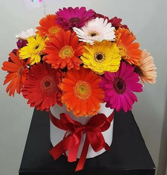 Caja Gerberas Multicolor